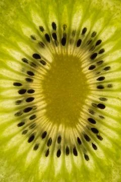 Slice of kiwi fruit Stock Photos