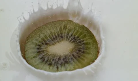 A slice of kiwi fruit is sinking into a pool of milk, causing ripples Foto stock