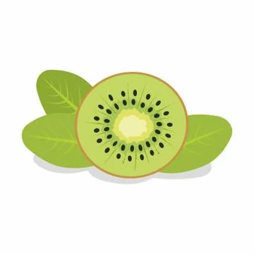 Slice of kiwi Illustrazione stock