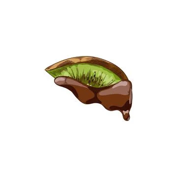 Slice of kiwi in melted dark chocolate hand drawn vector illustration, fruit Stock Illustration