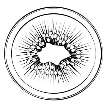 A slice of kiwi in a thin line. Vector on a white background Stock Illustration