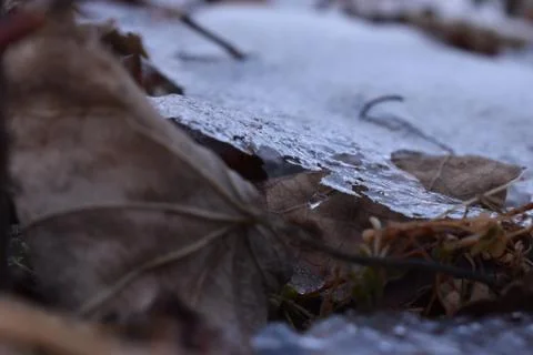 The slice layer of the white ice in Sapporo Japan 写真素材