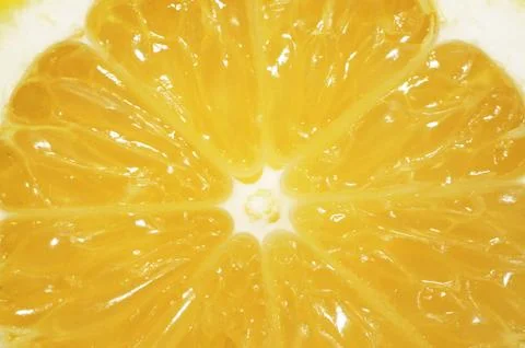 Slice lemon extreme close up 스톡 사진