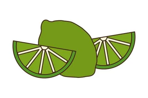 Slice lemon fruit citrus Stock-Illustration