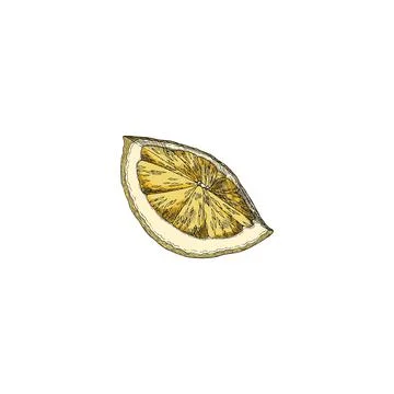 Slice of lemon in hand drawn colored sketch style, vector illustration isolated Illustrazione stock