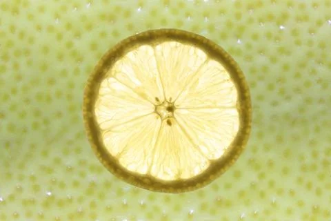 Slice of lemon Stock Photos
