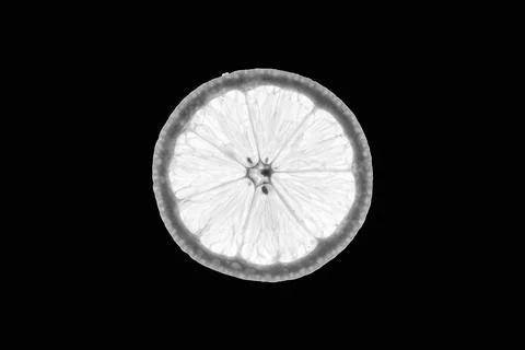 Slice of lemon Stock Photos