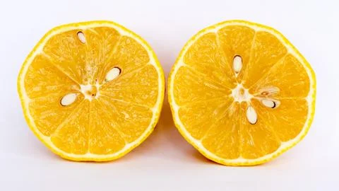 Slice of lemon on white background 写真素材