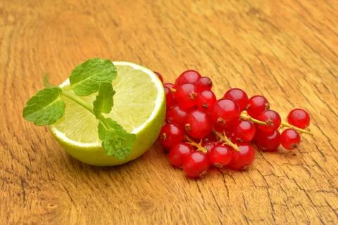 Slice of lime and red currant Stock Photos
