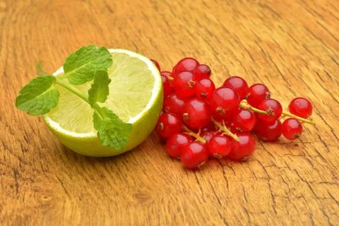 Slice of lime and red currant Stock Photos