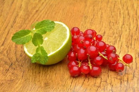 Slice of lime and red currant Stock Photos