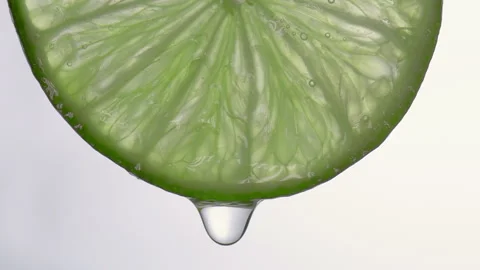 Slice of lime. Drop of juice flowing down Stock Footage 312084869