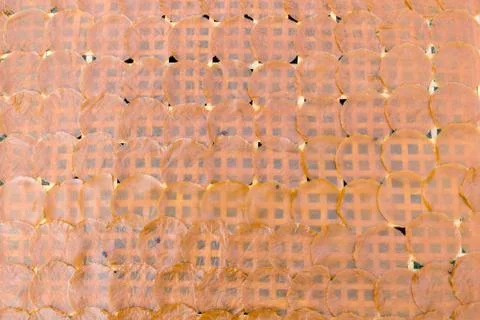 A slice of manga drying on the sun. Stock Photos