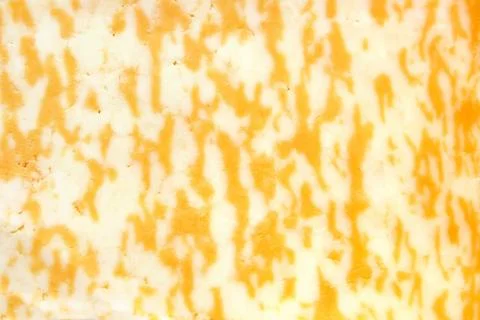 Slice of marble cheese Stock Photos
