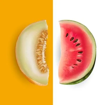Slice of melon and watermelon. Vector illustration Stock Illustration