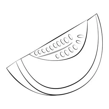 A slice of melon in a thin line. Vector on a white background Stock Illustration