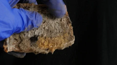 Slice of moldy bread on a black background Stock Footage 115834643