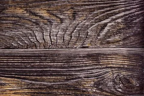 Slice of an old tree from it built a house 19 century Georgia Stock Photos