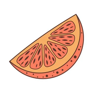 Slice of orange fruit. Hand drawn illustration in doodle style. Stock Illustration