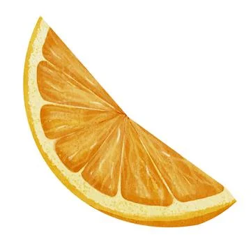 Slice of Orange Fruit. Hand drawn watercolor illustration of juicy citrus food Stock Illustration
