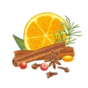 Slice of orange fruit with leaves, cinnamon, berries, clove, anise, rosemary Stock Illustration