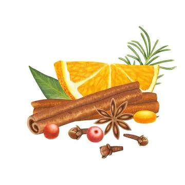 Slice of orange fruit with leaves, cinnamon, berries, clove, anise, rosemary Stock Illustration