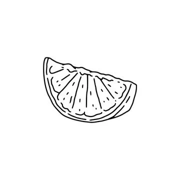 Slice of orange with peel, hand drawn sketch style vector illustration isolated. Stock Illustration