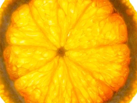 Slice of orange 写真素材