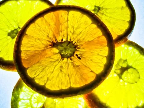 Slice orange Stock Photos