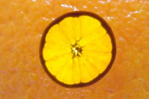 Slice of orange Stock Photos