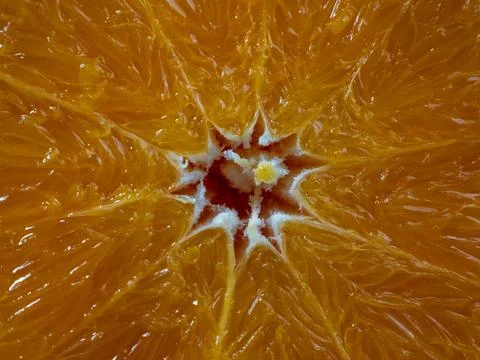 A slice of orange. The texture of the pulp of an orange. Fruit background. Stock Photos