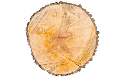 Slice the pear tree trunk Stock Photos