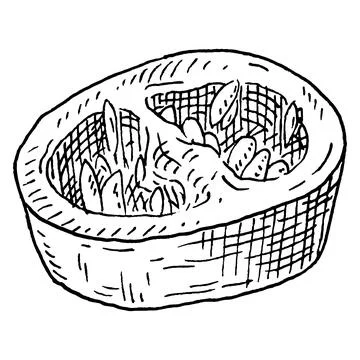 Slice pepper chilli. Vintage hatching gray monochrome illustration. Stock Illustration