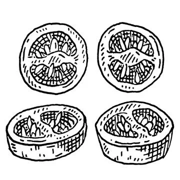 Slice pepper chilli. Vintage hatching gray monochrome illustration. Stock Illustration