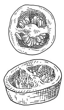 Slice pepper chilli. Vintage hatching gray monochrome illustration. Stock Illustration