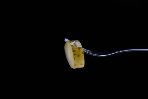Slice of pickled cucumber on fork isolated on a black background Foto stock