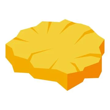 Slice of pineapple showing its texture and vivid color Stockillustratie