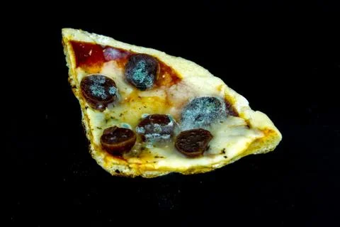 Slice of pizza that rots creating white mold on the surface Foto stock