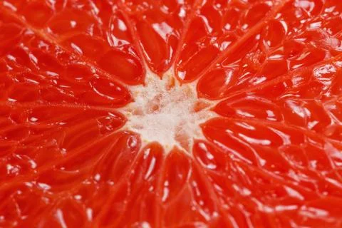 Slice of red grapefruit 스톡 사진