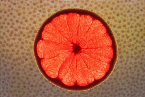 Slice of red grapefruit Slice of ripe ruby grapefruit on its peel abstract... 스톡 사진