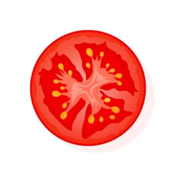 Slice of red tomato isolated on white. Juicy ripe tomato. Vector Illustration. 스톡 일러스트