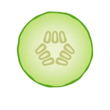 A slice of ripe cucumber Stock Illustration