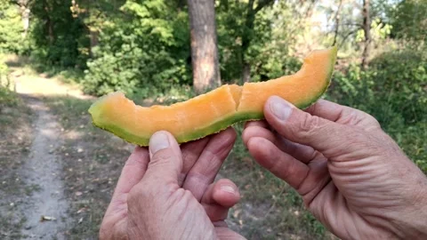 A slice of ripe juicy melon in the hands of a man.Picnic in the open air. Stock Footage 344197050