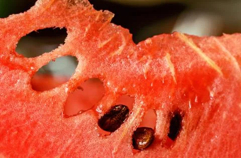 Slice of ripe watermelon large Stock Photos