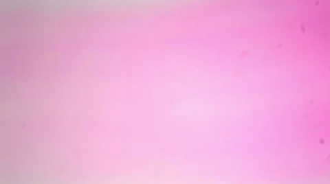 Slice the root tip cereal under the microscope (Corn Root Tip L.S.), Full HD Vídeos de archivo 47059323