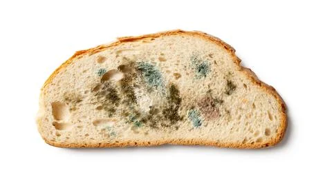 Slice of spoiled bread isolated on a white background. Stock Photos