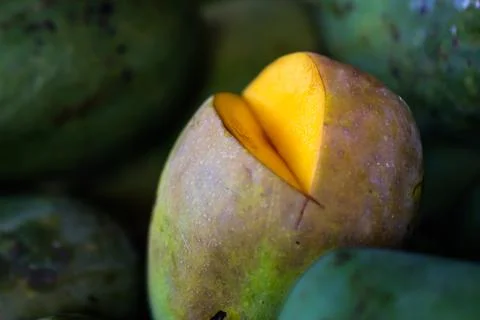 Slice of Sweet Ripe Mango Fruit with Orange Flesh and Fresh Green Mangoes B.. Stock Photos