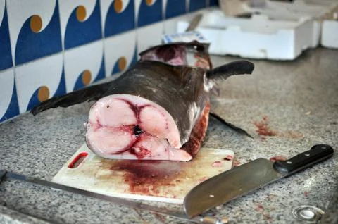 Slice of swordfish 库存照片