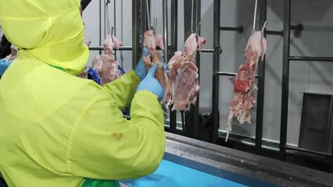 Slice tenderloin Stock Footage 223162617