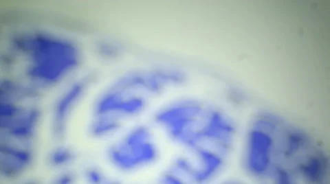 Slice the Testis cat under the microscope (Testis Sec.), Ful HD Stock Footage 47113898